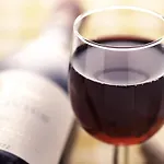 Ibis Schiphol Amsterdam Airport Hotel 3*