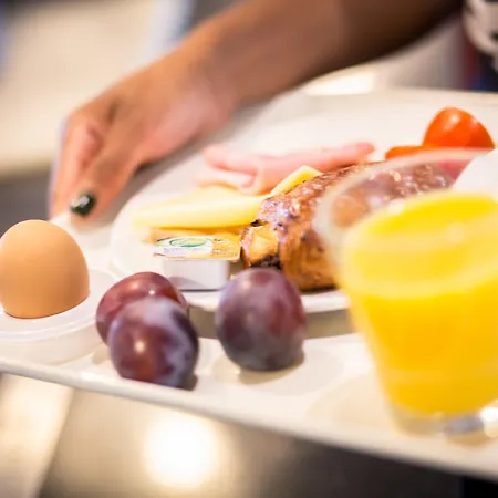 Hotel Ibis Schiphol Amsterdam Airport Badhoevedorp