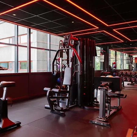 Ibis Schiphol Amsterdam Airport Badhoevedorp