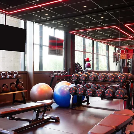 Ibis Schiphol Amsterdam Airport Hotel Badhoevedorp
