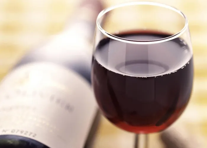 Ibis Schiphol Amsterdam Airport Hotel 3*