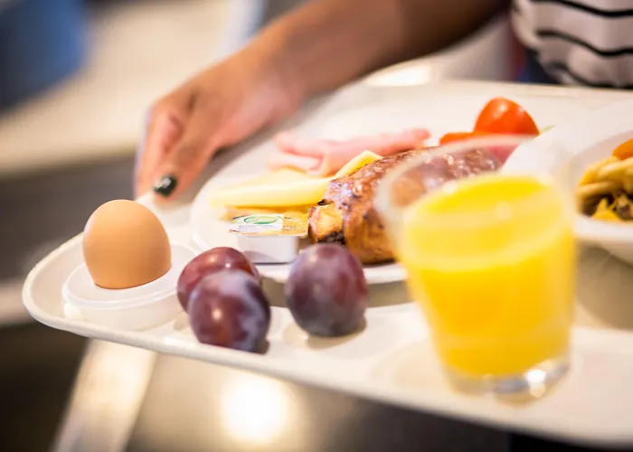 Hotel Ibis Schiphol Amsterdam Airport Badhoevedorp